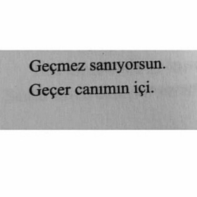 aynur18