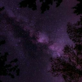 riseofthestars