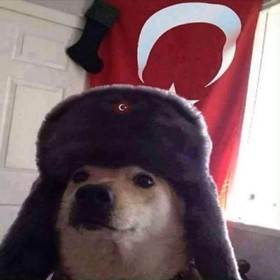 Nazlıerbagg
