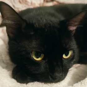 everythingispossible