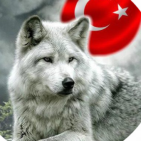 Ülküm10