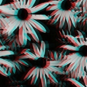 Blaack_Niight