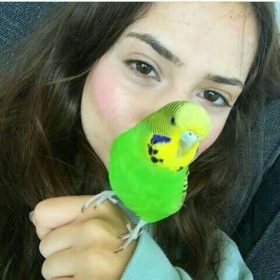 DefneEla