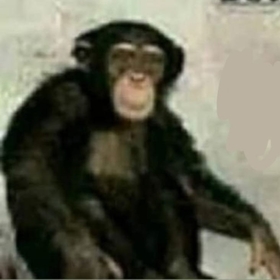 Yeteraqisimiste