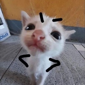Sarısıncivcivooo