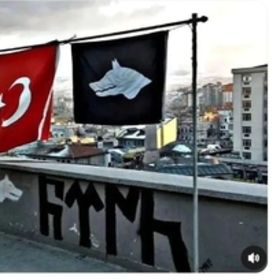 Asenaaa3535