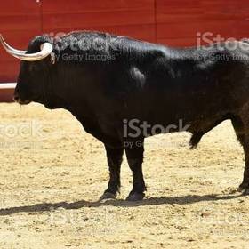 atletikabi0007