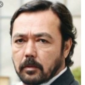 Akılzengini