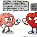 Sevmedi