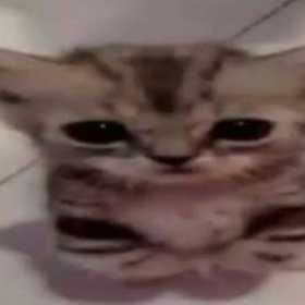 Yuumina