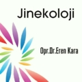 ErenKara34