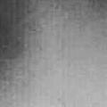 Aligy