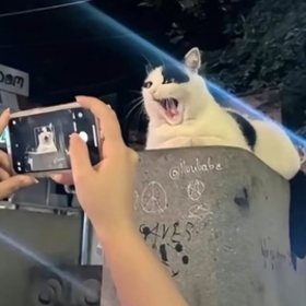 Zuhghujh