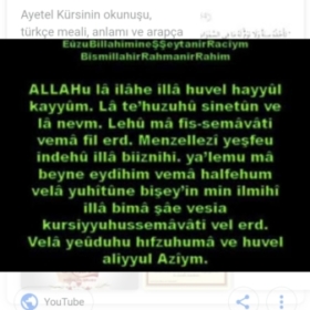 Selin4313