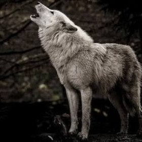 BoyutÖtesindenGelen