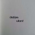 aynenkardeşimhehe