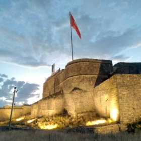 gungorserhat