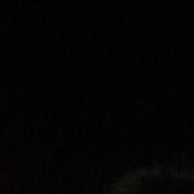 isilparik11