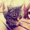 irem158