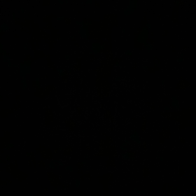 papatyacık00