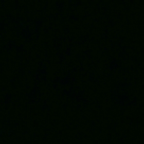 pelinsu11