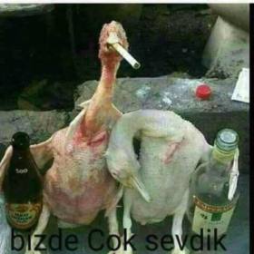 hayalet56
