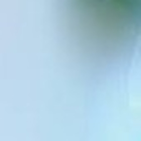 beyaztenligamzelikız