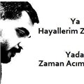 Aslan_beyy