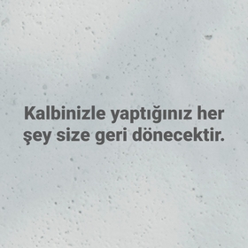 şairinbiri