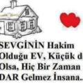 Elnur5