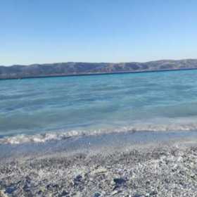 CeyhanYesil