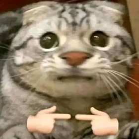 ecemecebilmece