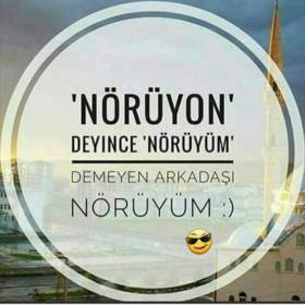 Nörüyonheri