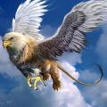 Bilal8138