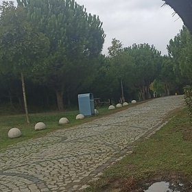 hayalperest_23