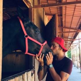 HorseTrainer