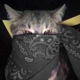 hiçkimse_____