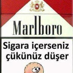 DuyguluKedi