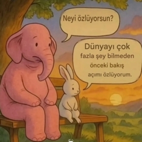 Ecirnur