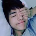 bang__v__tan