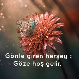 DAYIDERLER