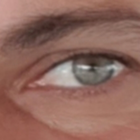 Analsevgi