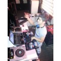 DJhsyn