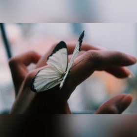 lastsong