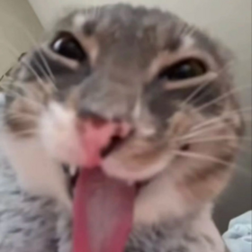 svxkesa