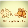 Bilirkişii
