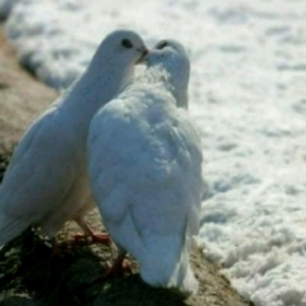 Bendeniz0681