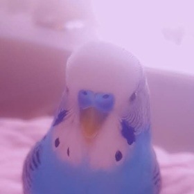 Yokolannurliva