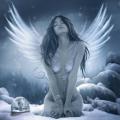 FlyByYourOwnWings
