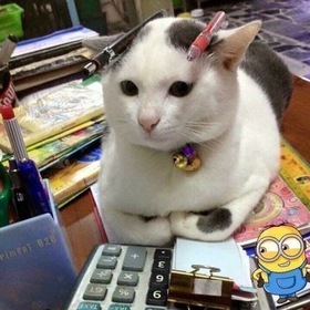 Zxggffhkıı